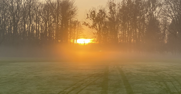 Nebel im Kopf-Novembernebel